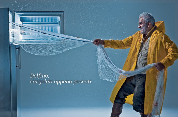 delfino delfino